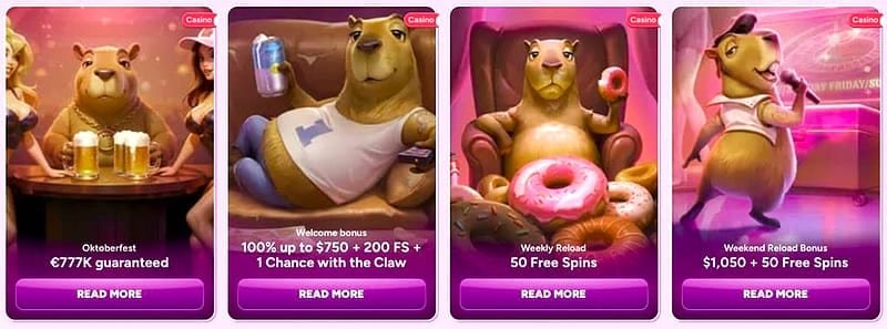 Spinbara conditions de mise du bonus – La mise maximale à 5€ : la règle qui coûte le bonus